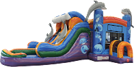 Dolphin themed combo bouncer with dual slides