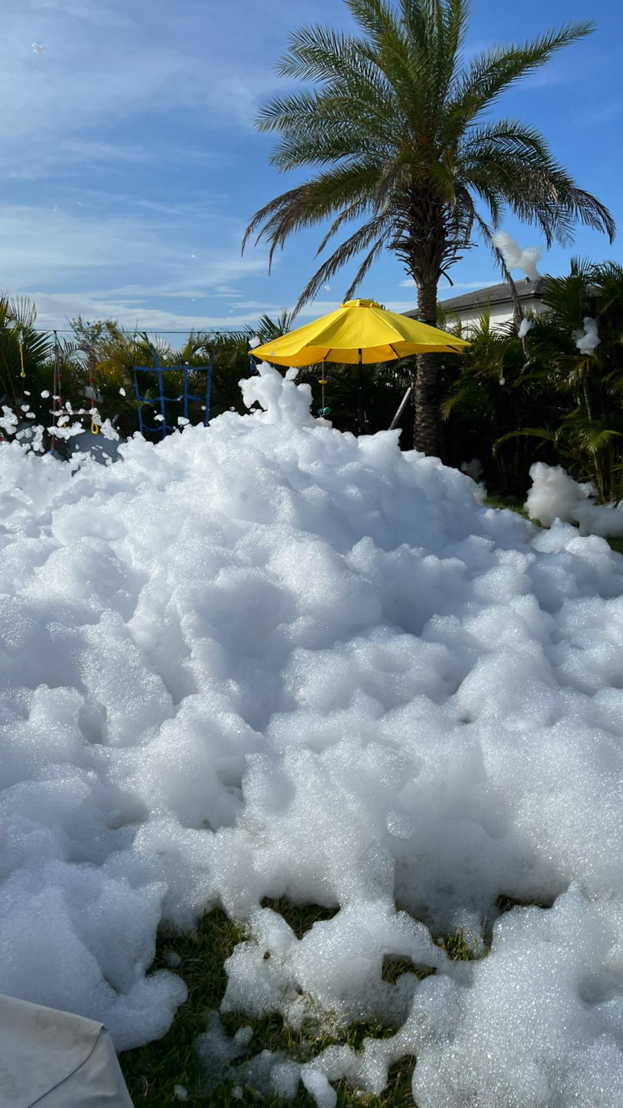 Backyard buried in party foam under a palm tree